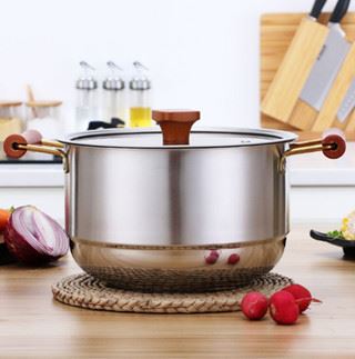 stainless steel soup pot
